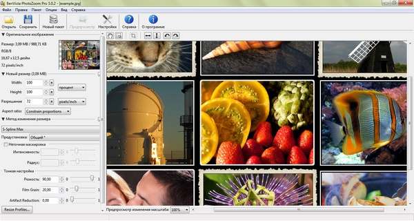 /load/grafika_i_dizajn/redaktory/photozoom_pro_7_kod_aktivacii/161-1-0-2312