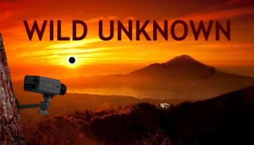 /load/igry/prilozhenija/wild_unknown_trial_of_antiquity_polnaja_versija/232-1-0-2592